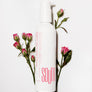 pH Balanced Intimate Skin Cleanser Amber + Rose Water